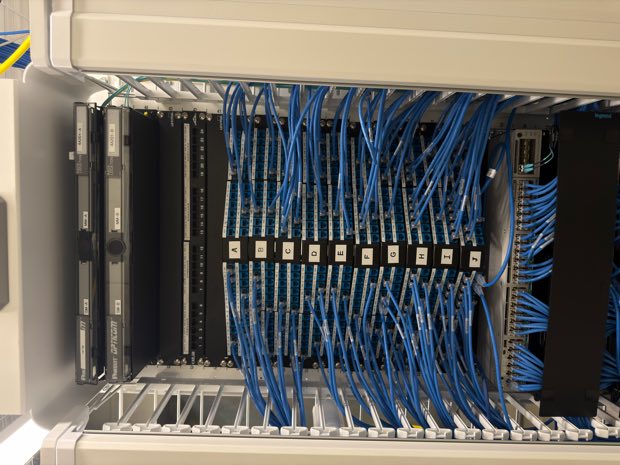 Blue patch cords dressed in service loops behind a rack
