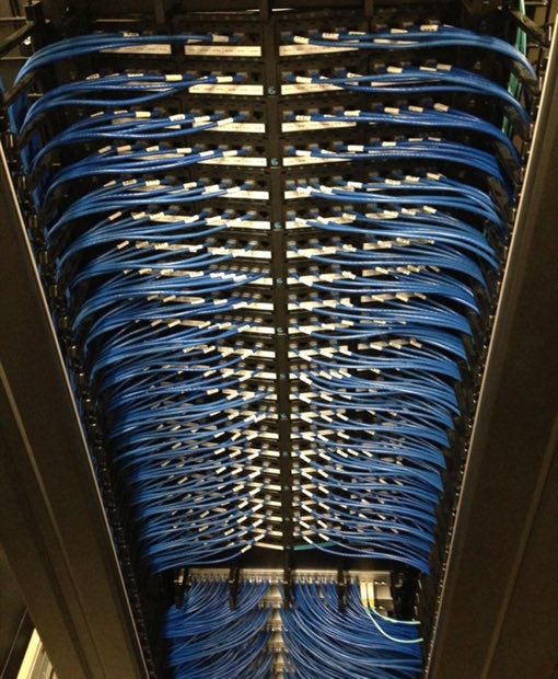 Blue patch cords dressed into rack-mounted patch panels